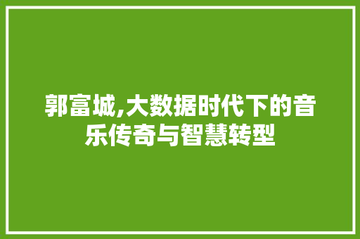 郭富城,大数据时代下的音乐传奇与智慧转型 神马SEO