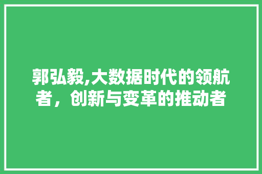 郭弘毅,大数据时代的领航者，创新与变革的推动者 百度SEO