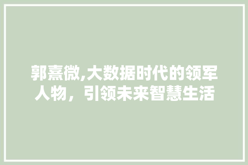 郭熹微,大数据时代的领军人物，引领未来智慧生活 神马SEO