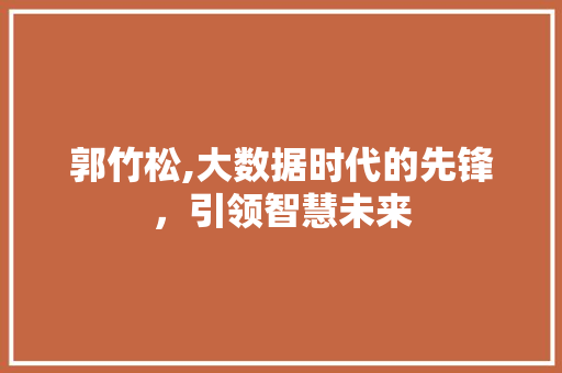 郭竹松,大数据时代的先锋，引领智慧未来 神马SEO