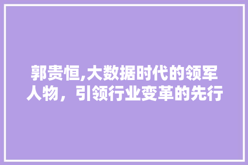 郭贵恒,大数据时代的领军人物，引领行业变革的先行者