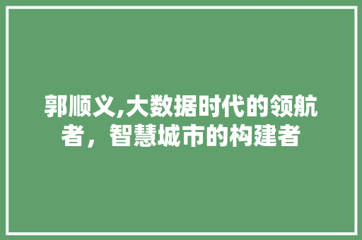 郭顺义,大数据时代的领航者，智慧城市的构建者 神马SEO