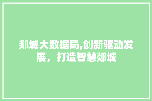 郯城大数据局,创新驱动发展，打造智慧郯城 神马SEO
