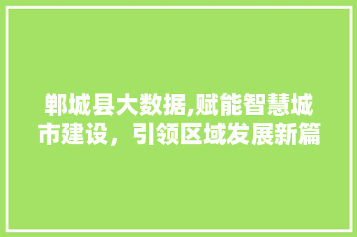 郸城县大数据,赋能智慧城市建设，引领区域发展新篇章 搜狗SEO