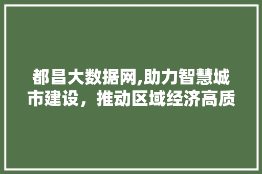 都昌大数据网,助力智慧城市建设，推动区域经济高质量发展