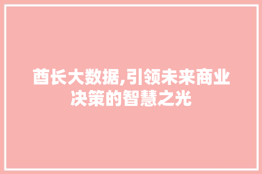 酋长大数据,引领未来商业决策的智慧之光 神马SEO