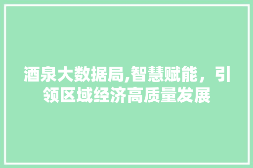 酒泉大数据局,智慧赋能，引领区域经济高质量发展 GoogleSEO