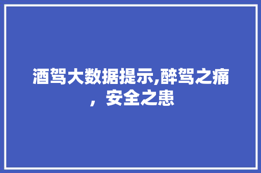 酒驾大数据提示,醉驾之痛，安全之患 GoogleSEO