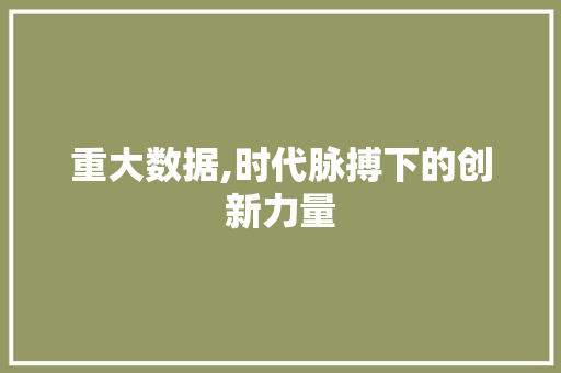 重大数据,时代脉搏下的创新力量 神马SEO