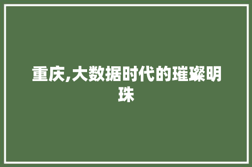 重庆,大数据时代的璀璨明珠 神马SEO