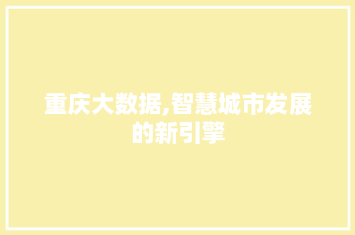 重庆大数据,智慧城市发展的新引擎 神马SEO