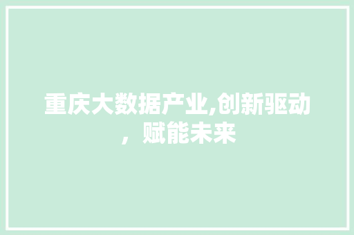 重庆大数据产业,创新驱动，赋能未来