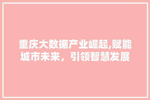 重庆大数据产业崛起,赋能城市未来，引领智慧发展