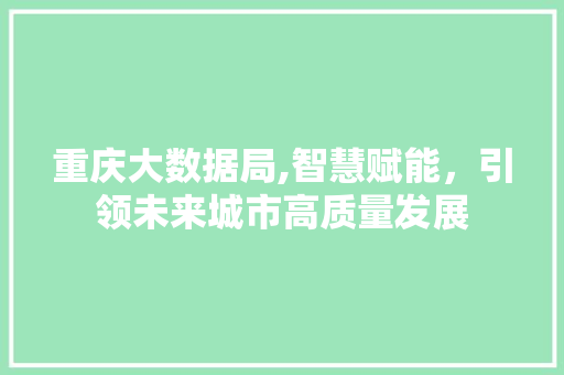 重庆大数据局,智慧赋能，引领未来城市高质量发展 必应SEO