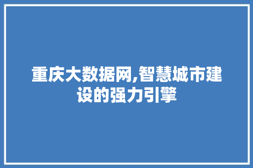 重庆大数据网,智慧城市建设的强力引擎 GoogleSEO
