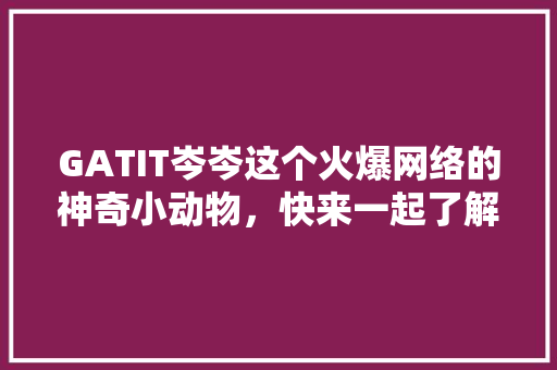 GATIT岑岑这个火爆网络的神奇小动物，快来一起了解！ 神马SEO