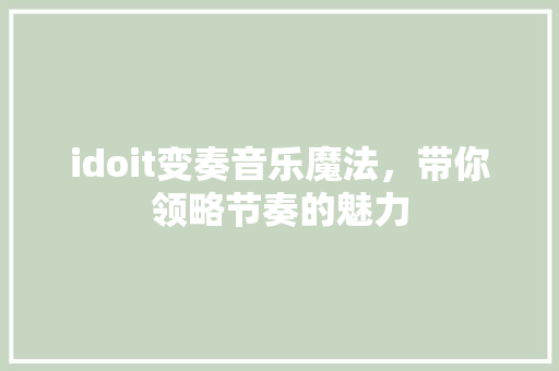 idoit变奏音乐魔法，带你领略节奏的魅力 必应SEO