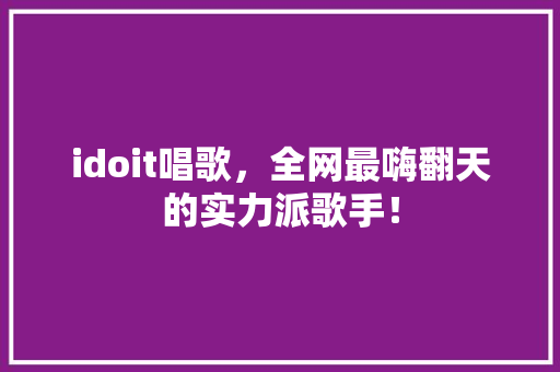 idoit唱歌，全网最嗨翻天的实力派歌手！ GoogleSEO