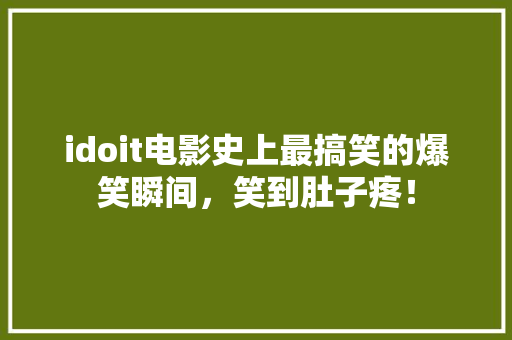 idoit电影史上最搞笑的爆笑瞬间，笑到肚子疼！ 搜狗SEO