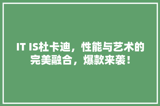 IT IS杜卡迪，性能与艺术的完美融合，爆款来袭！ 百度SEO