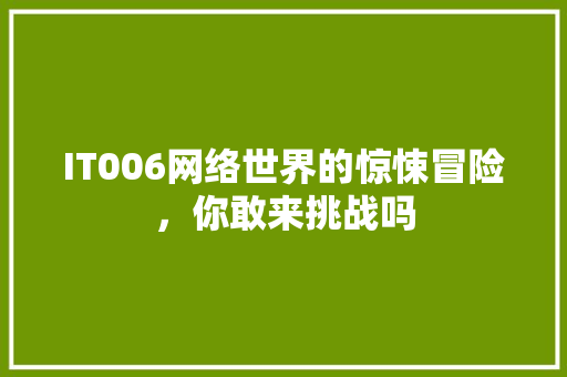 IT006网络世界的惊悚冒险，你敢来挑战吗 必应SEO