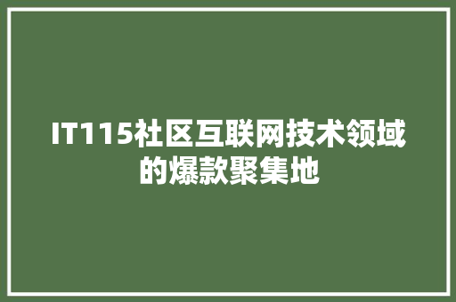 IT115社区互联网技术领域的爆款聚集地 百度SEO
