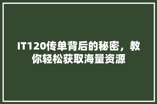 IT120传单背后的秘密，教你轻松获取海量资源 百度SEO