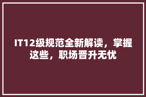 IT12级规范全新解读，掌握这些，职场晋升无忧 必应SEO