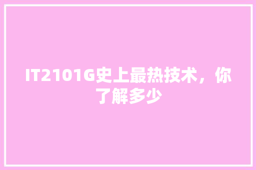 IT2101G史上最热技术，你了解多少 GoogleSEO