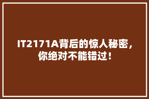IT2171A背后的惊人秘密，你绝对不能错过！ 百度SEO