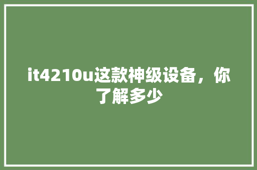it4210u这款神级设备，你了解多少 GoogleSEO