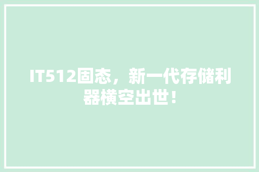 IT512固态，新一代存储利器横空出世！ GoogleSEO