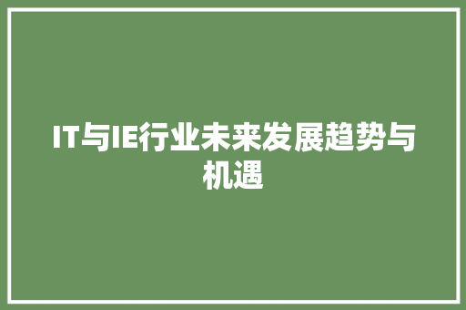 IT与IE行业未来发展趋势与机遇 GoogleSEO