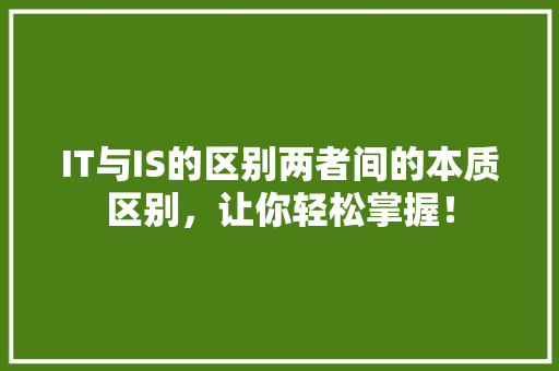 IT与IS的区别两者间的本质区别，让你轻松掌握！