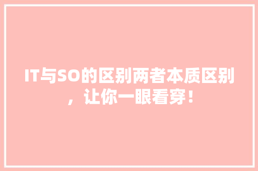 IT与SO的区别两者本质区别，让你一眼看穿！