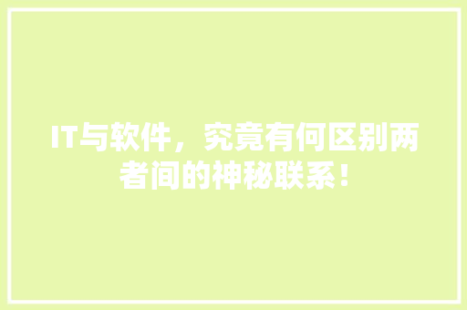 IT与软件，究竟有何区别两者间的神秘联系！ 必应SEO
