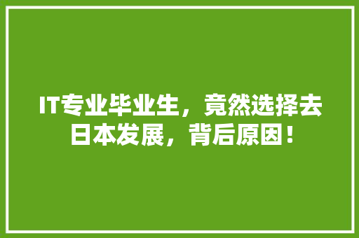 IT专业毕业生，竟然选择去日本发展，背后原因！ GoogleSEO