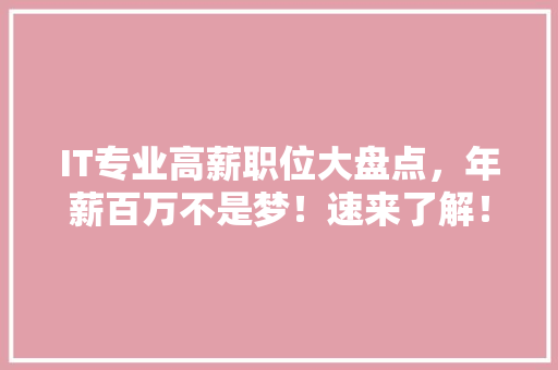 IT专业高薪职位大盘点，年薪百万不是梦！速来了解！ 必应SEO