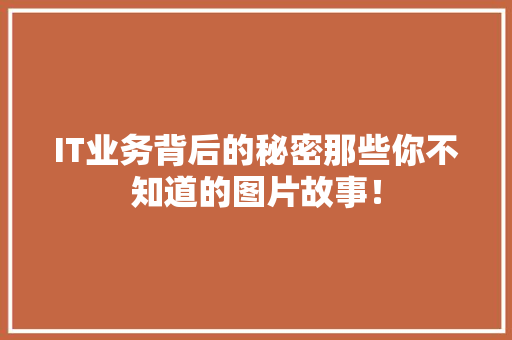 IT业务背后的秘密那些你不知道的图片故事！ 必应SEO