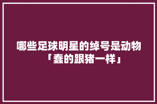 哪些足球明星的绰号是动物「蠢的跟猪一样」 哪些足球明星的绰号是动物「蠢的跟猪一样」 必应SEO