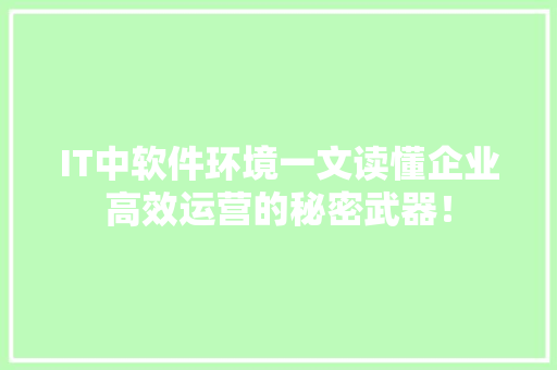 IT中软件环境一文读懂企业高效运营的秘密武器！