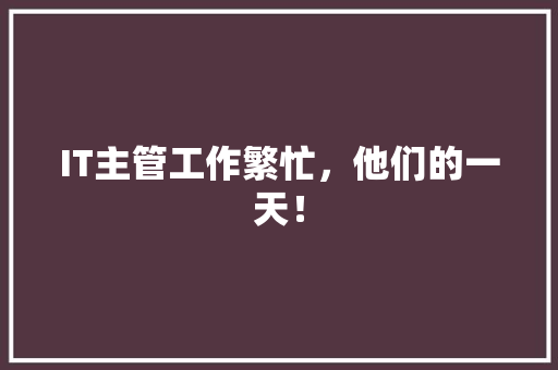 IT主管工作繁忙，他们的一天！ 百度SEO