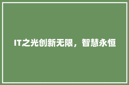 IT之光创新无限，智慧永恒 搜狗SEO