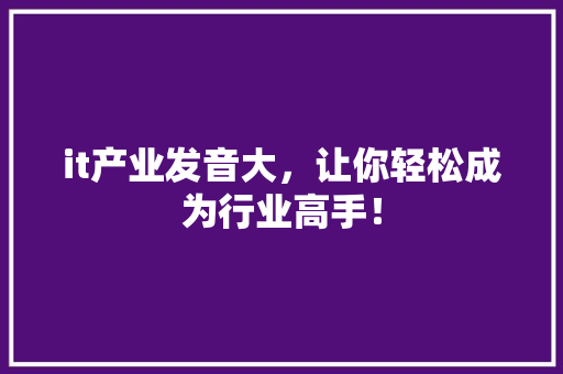 it产业发音大，让你轻松成为行业高手！ 神马SEO
