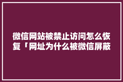 微信网站被禁止访问怎么恢复「网址为什么被微信屏蔽了」 微信网站被禁止访问怎么恢复「网址为什么被微信屏蔽了」 百度SEO