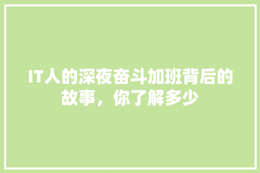 IT人的深夜奋斗加班背后的故事，你了解多少