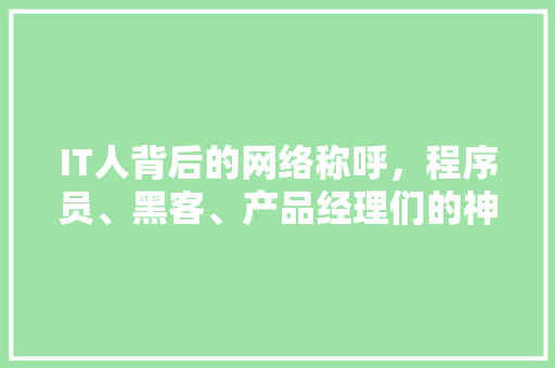 IT人背后的网络称呼，程序员、黑客、产品经理们的神秘世界！ 必应SEO