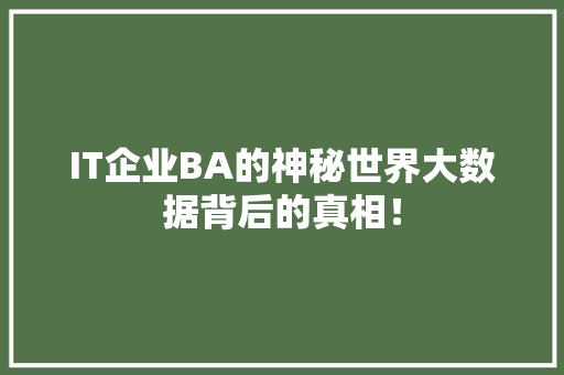 IT企业BA的神秘世界大数据背后的真相！ 搜狗SEO