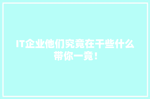 IT企业他们究竟在干些什么带你一竟！