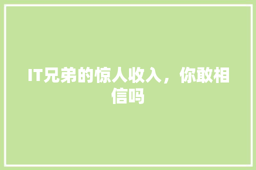 IT兄弟的惊人收入，你敢相信吗